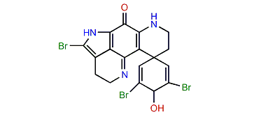 14-Bromo-3-dihydrodiscorhabdin C